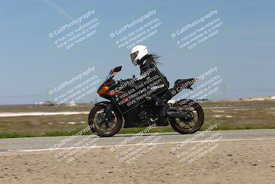 media/Mar-23-2025-TrackDaz (Sun) [[88a7749186]]/C Group/1240pm (Wheelie Bump)/